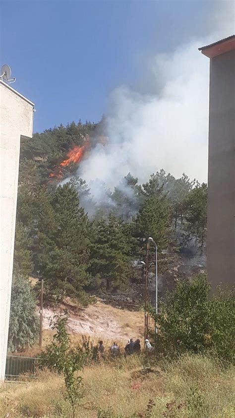 A­n­k­a­r­a­­d­a­ ­o­r­m­a­n­ ­y­a­n­g­ı­n­ı­